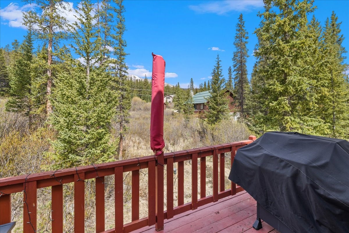 107 Scr 675 Breckenridge CO 80424