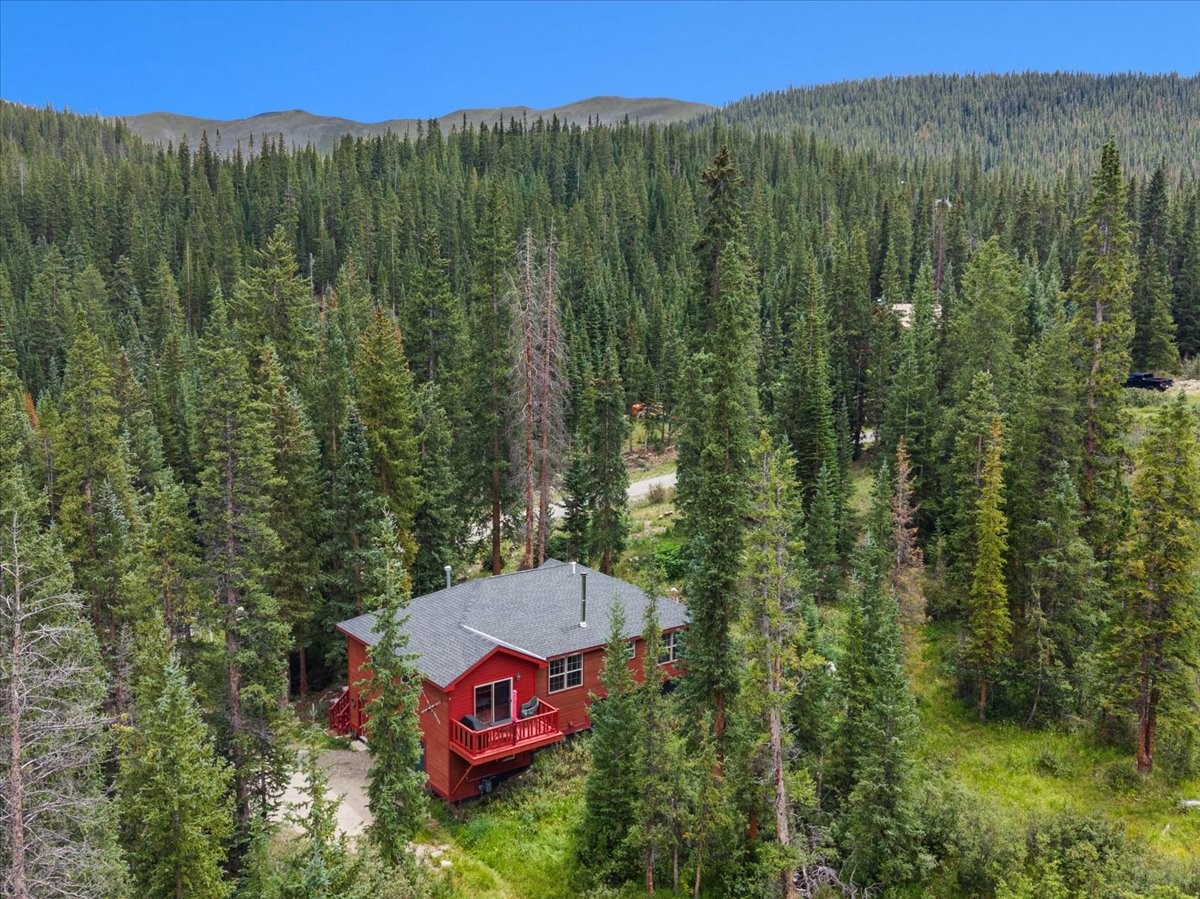 107 Scr 675 Breckenridge CO 80424