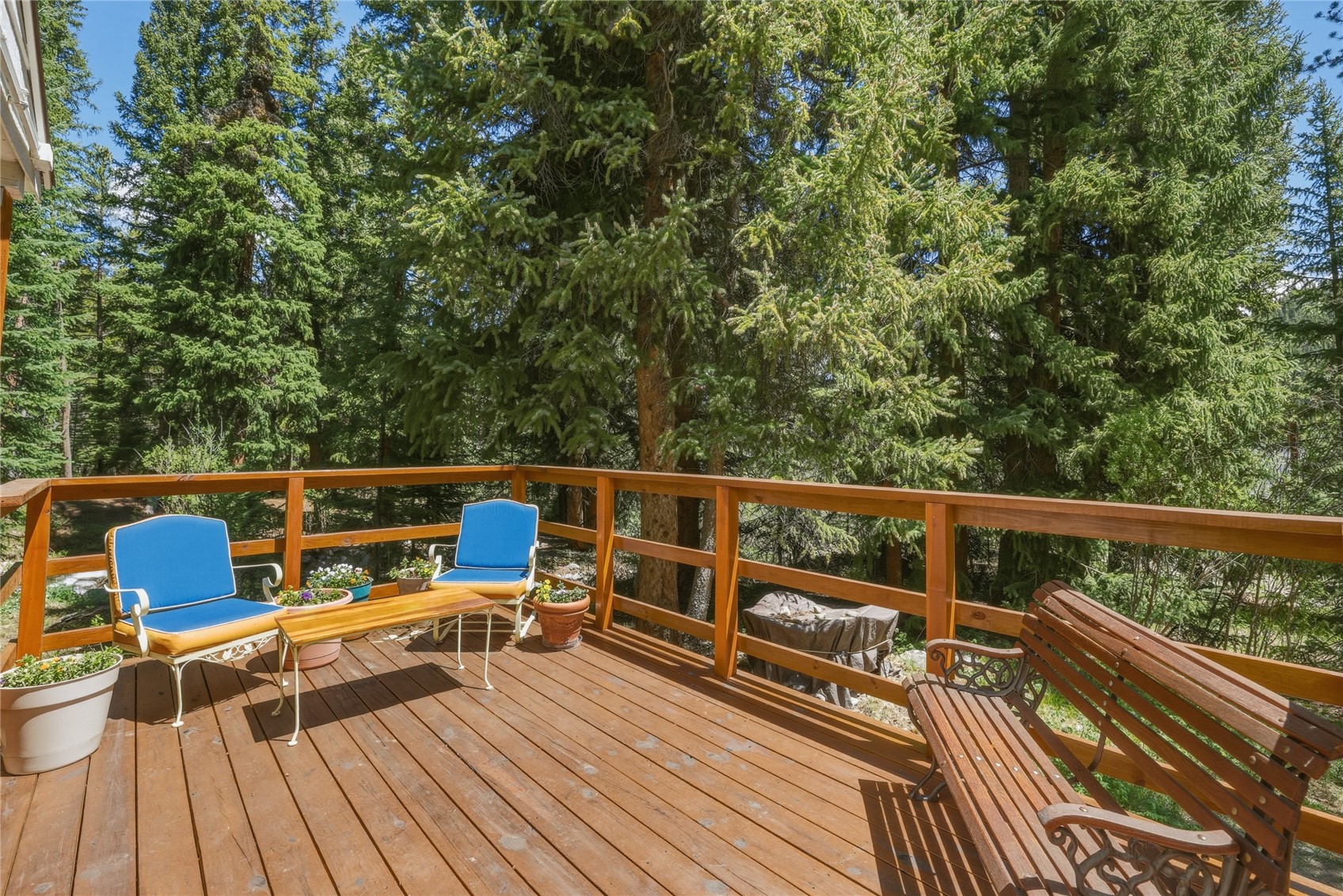 57 Rock Springs Road Breckenridge CO 80424
