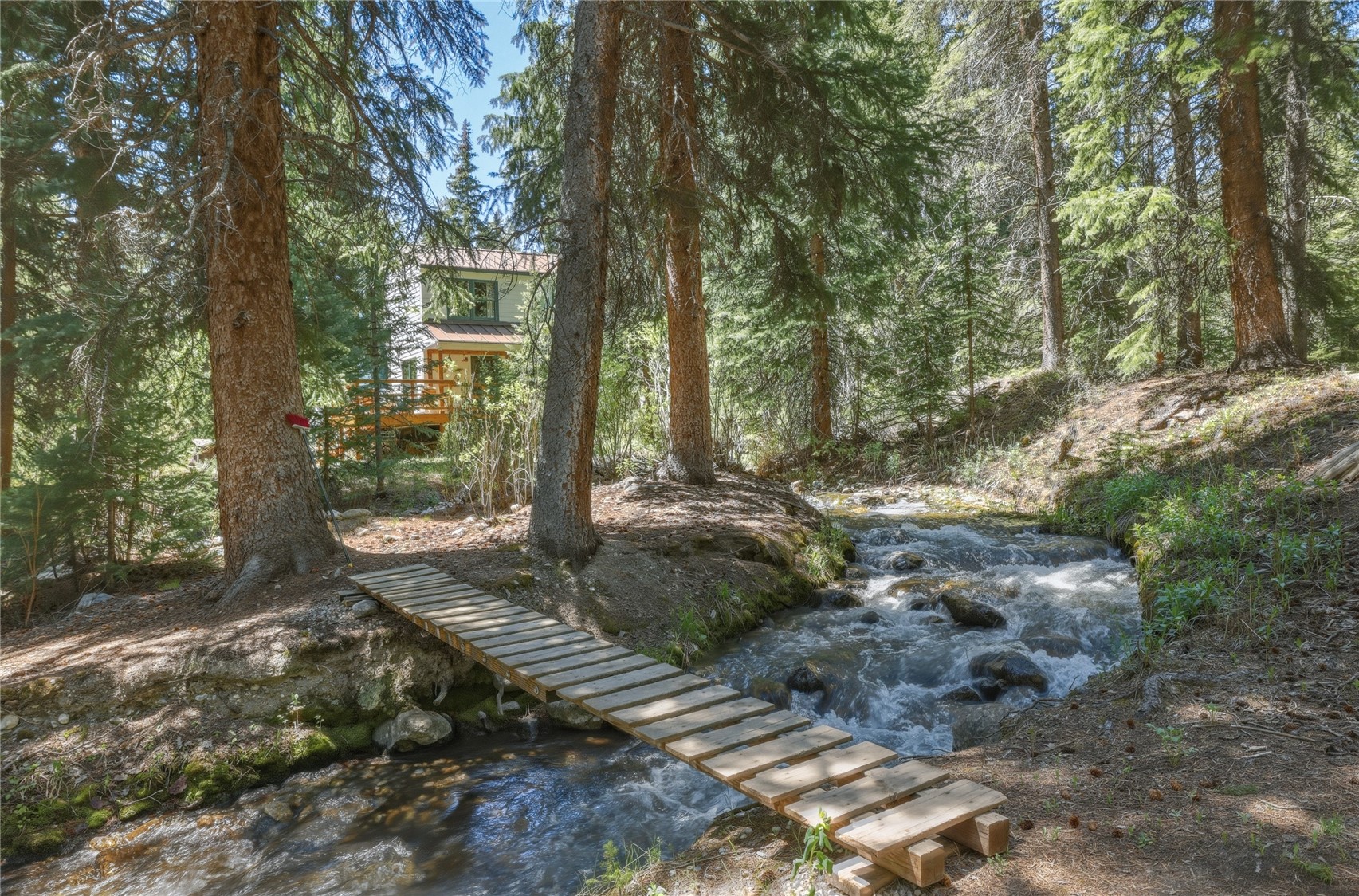 57 Rock Springs Road Breckenridge CO 80424