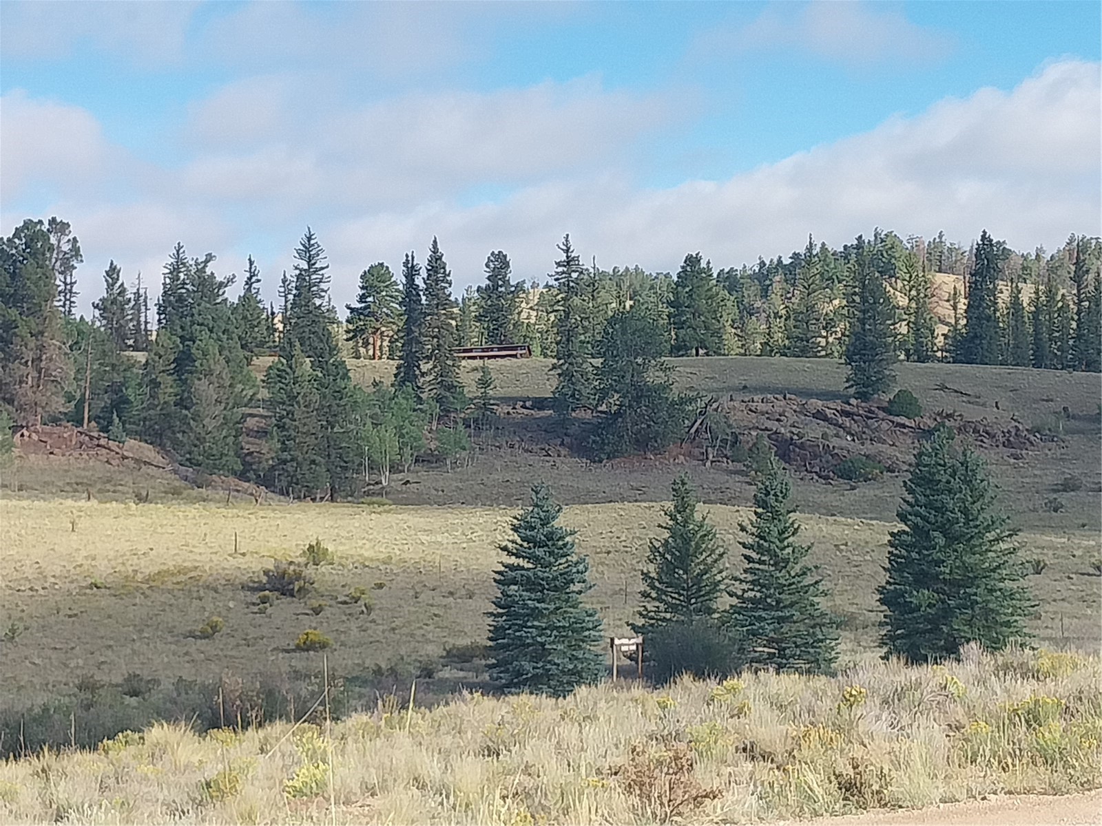 1167 Latigo Loop Hartsel CO 80449