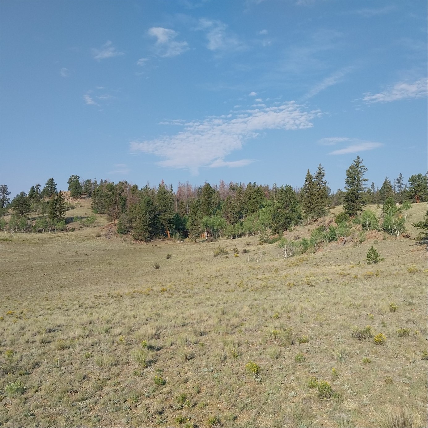 1167 Latigo Loop Hartsel CO 80449