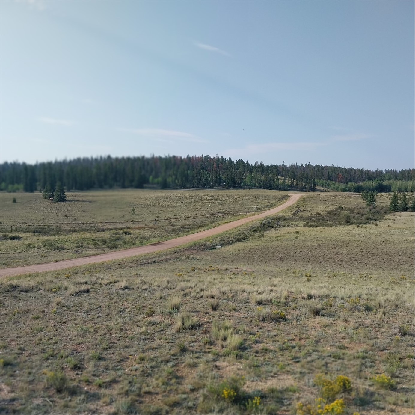 1167 Latigo Loop Hartsel CO 80449