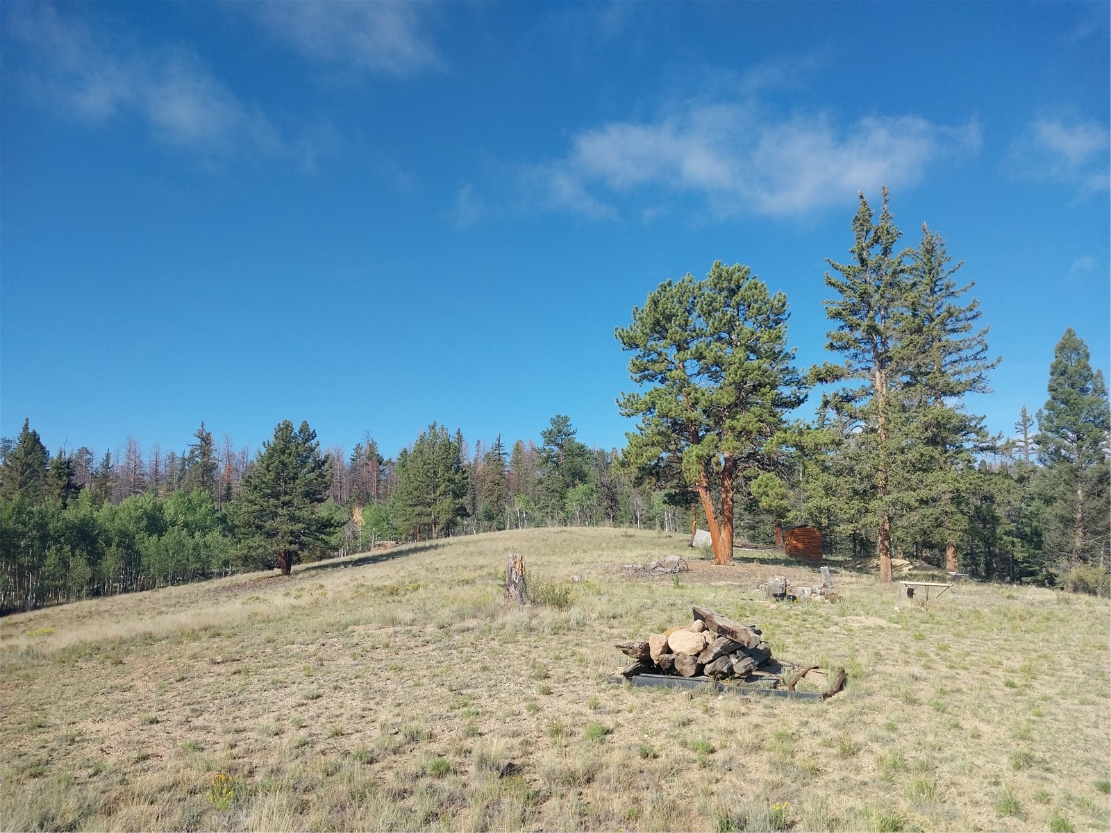 1167 Latigo Loop Hartsel CO 80449