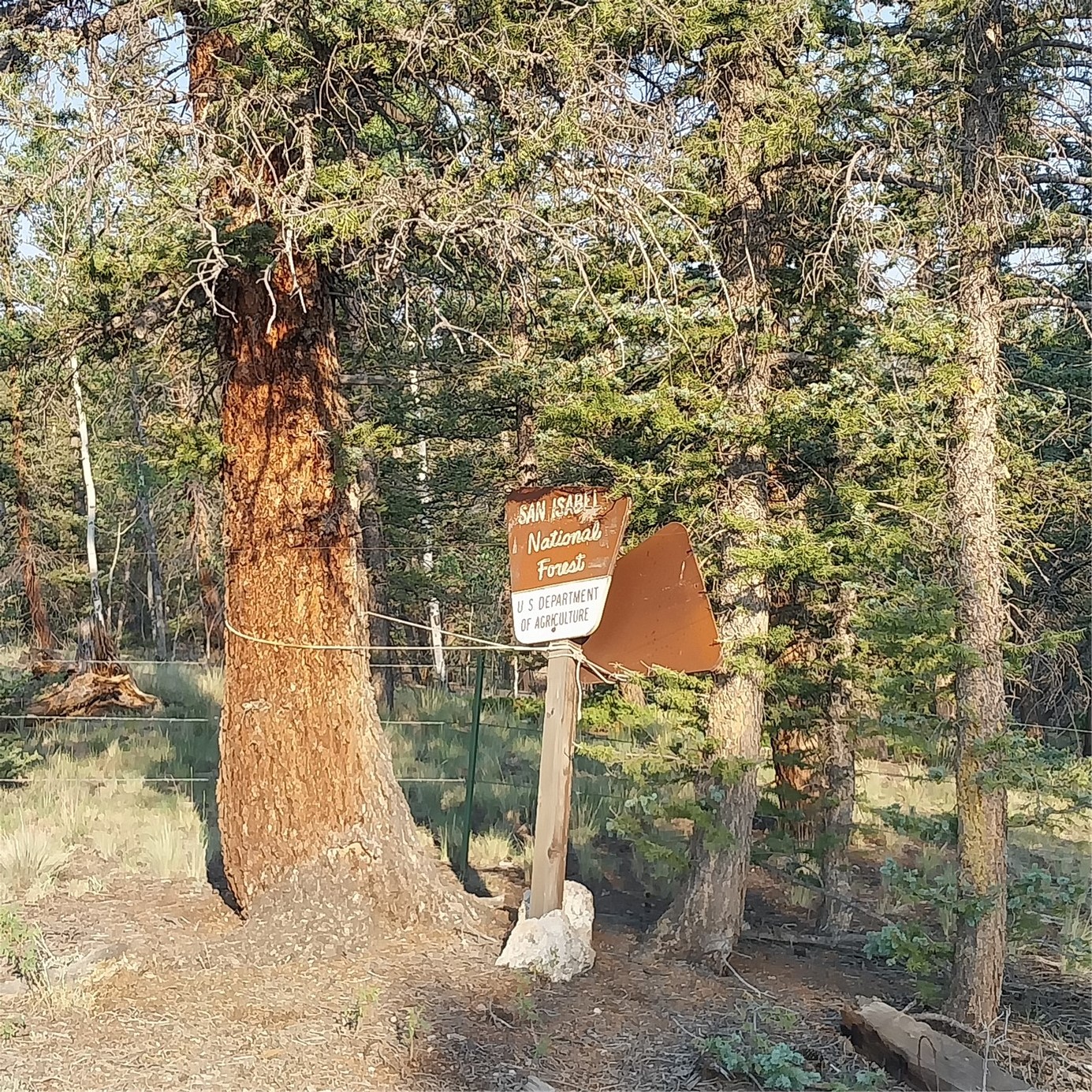 1167 Latigo Loop Hartsel CO 80449