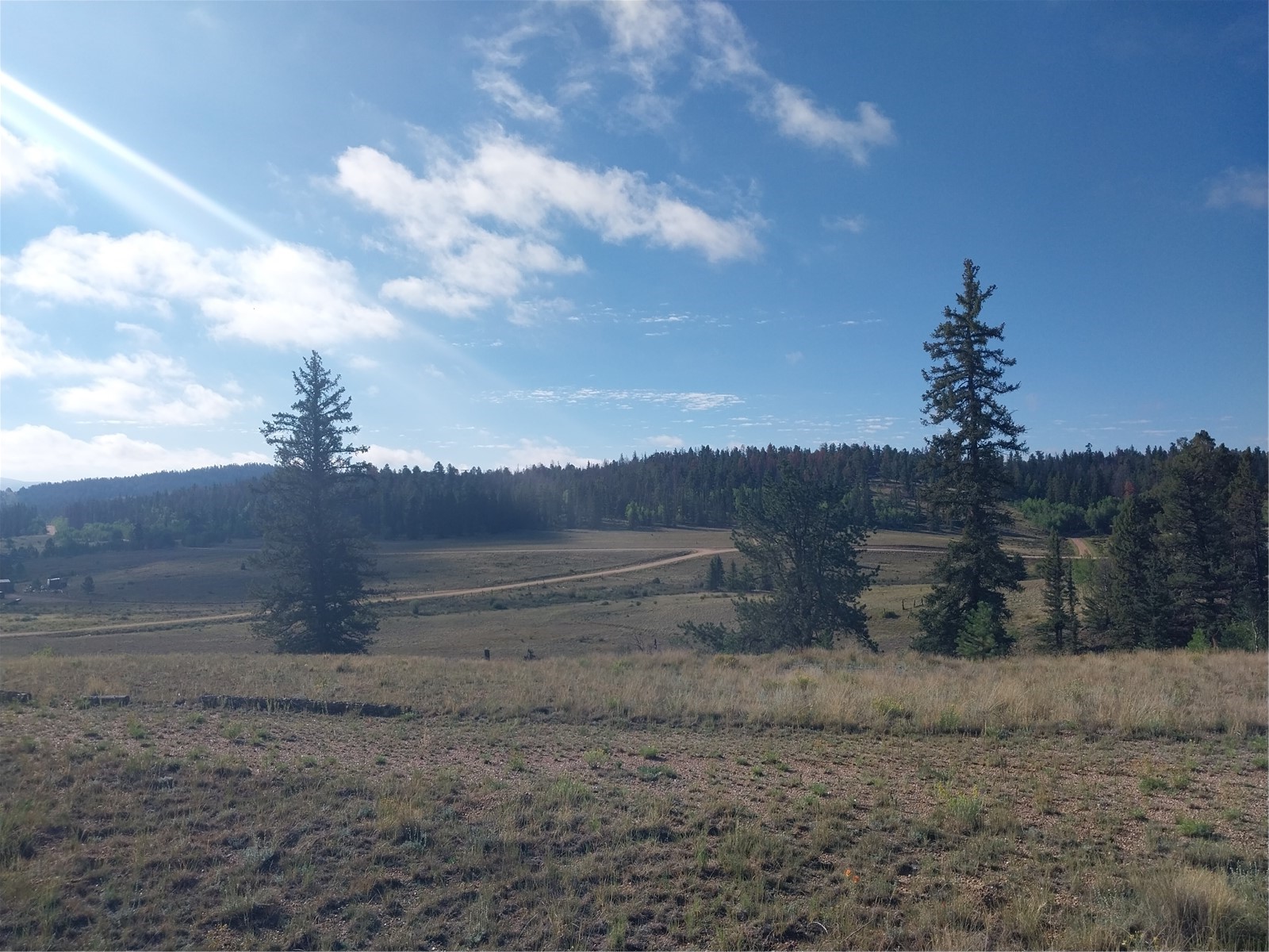 1167 Latigo Loop Hartsel CO 80449