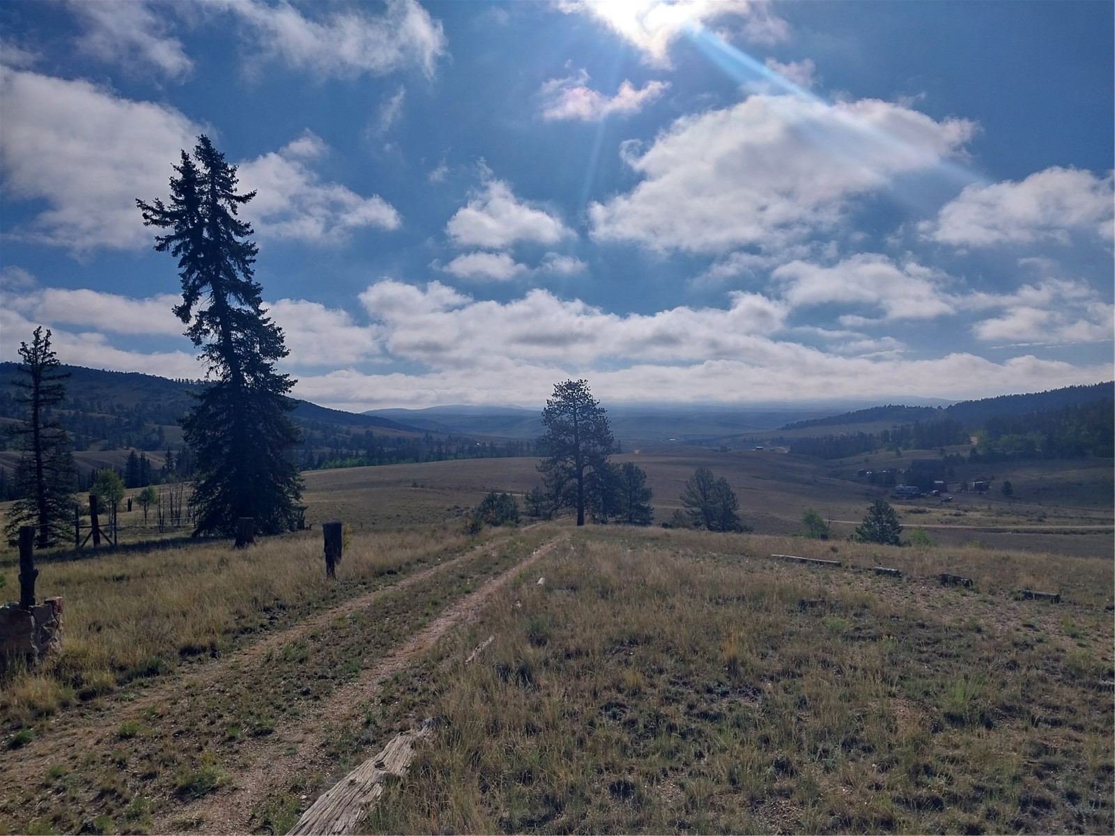 1167 Latigo Loop Hartsel CO 80449