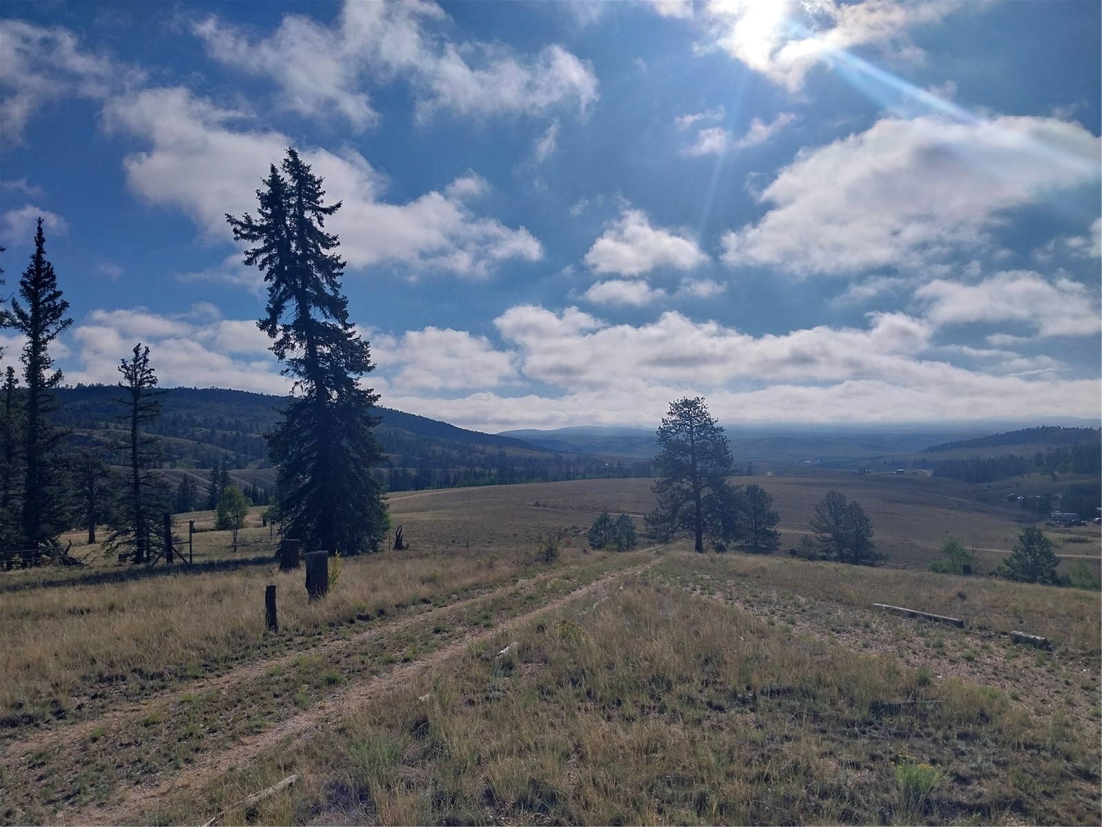 1167 Latigo Loop Hartsel CO 80449