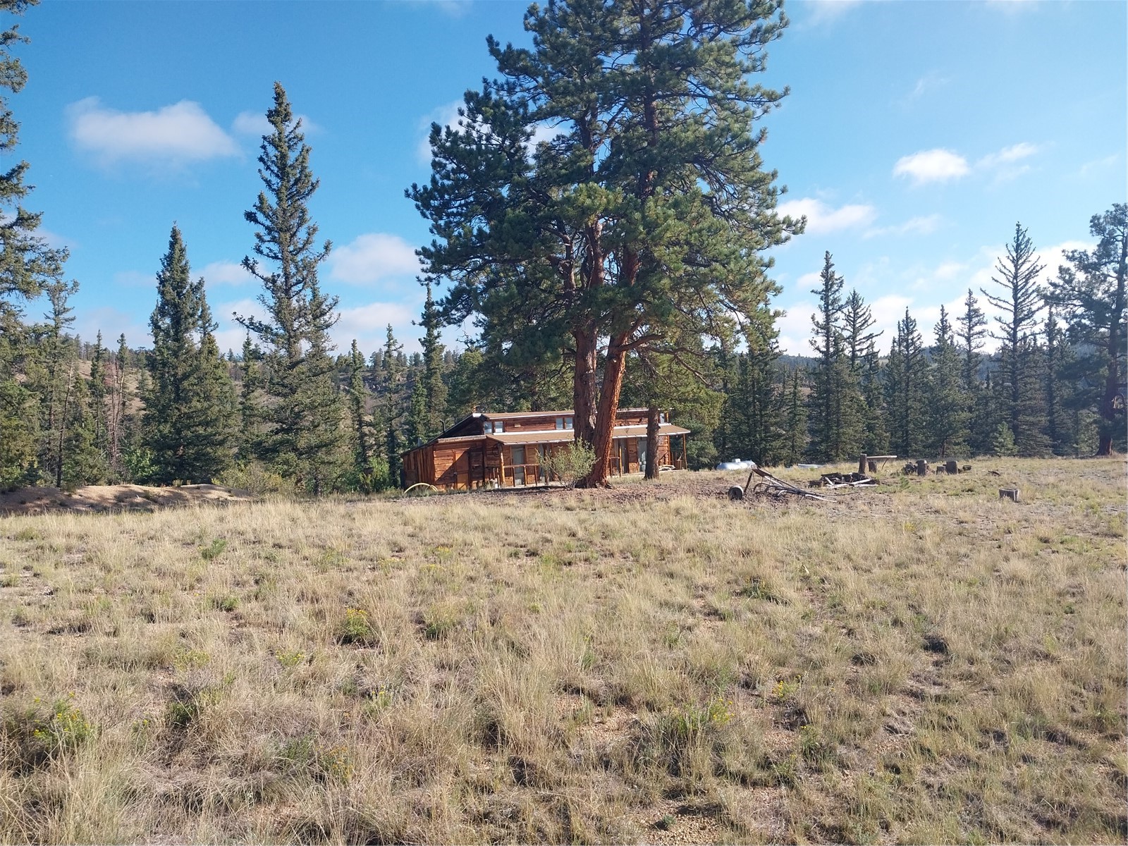 1167 Latigo Loop Hartsel CO 80449
