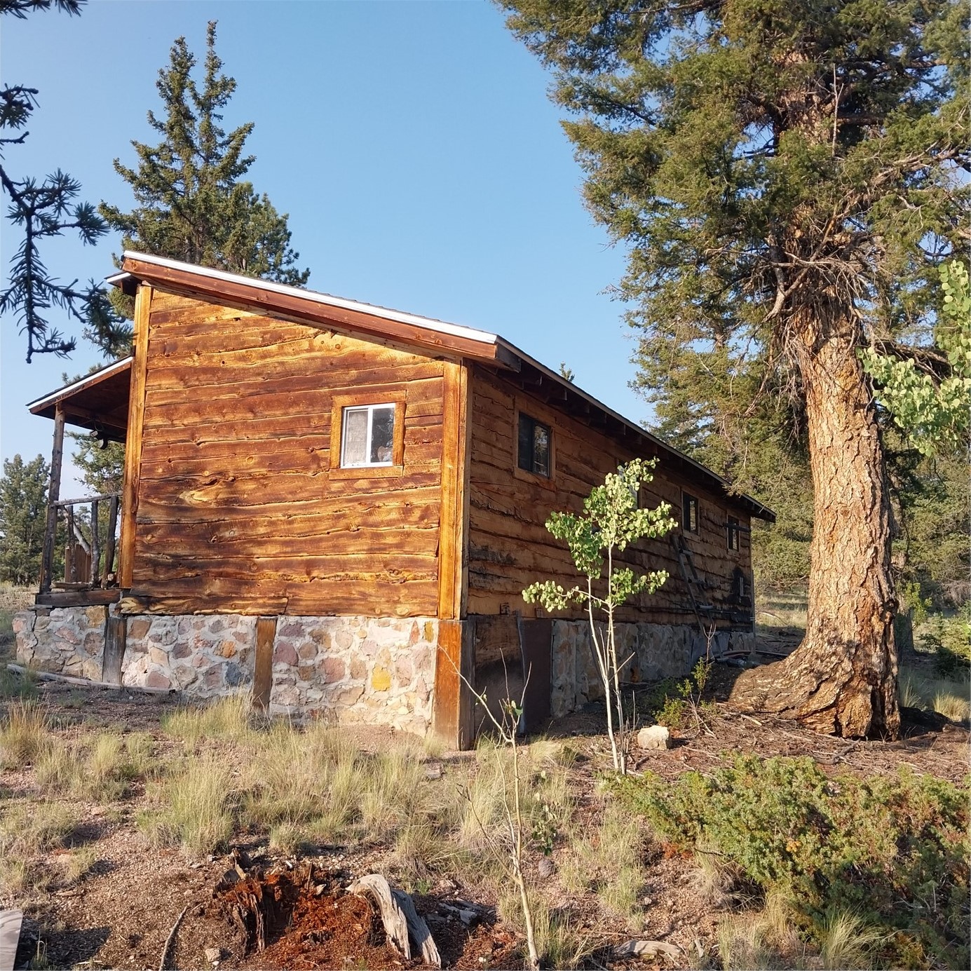 1167 Latigo Loop Hartsel CO 80449
