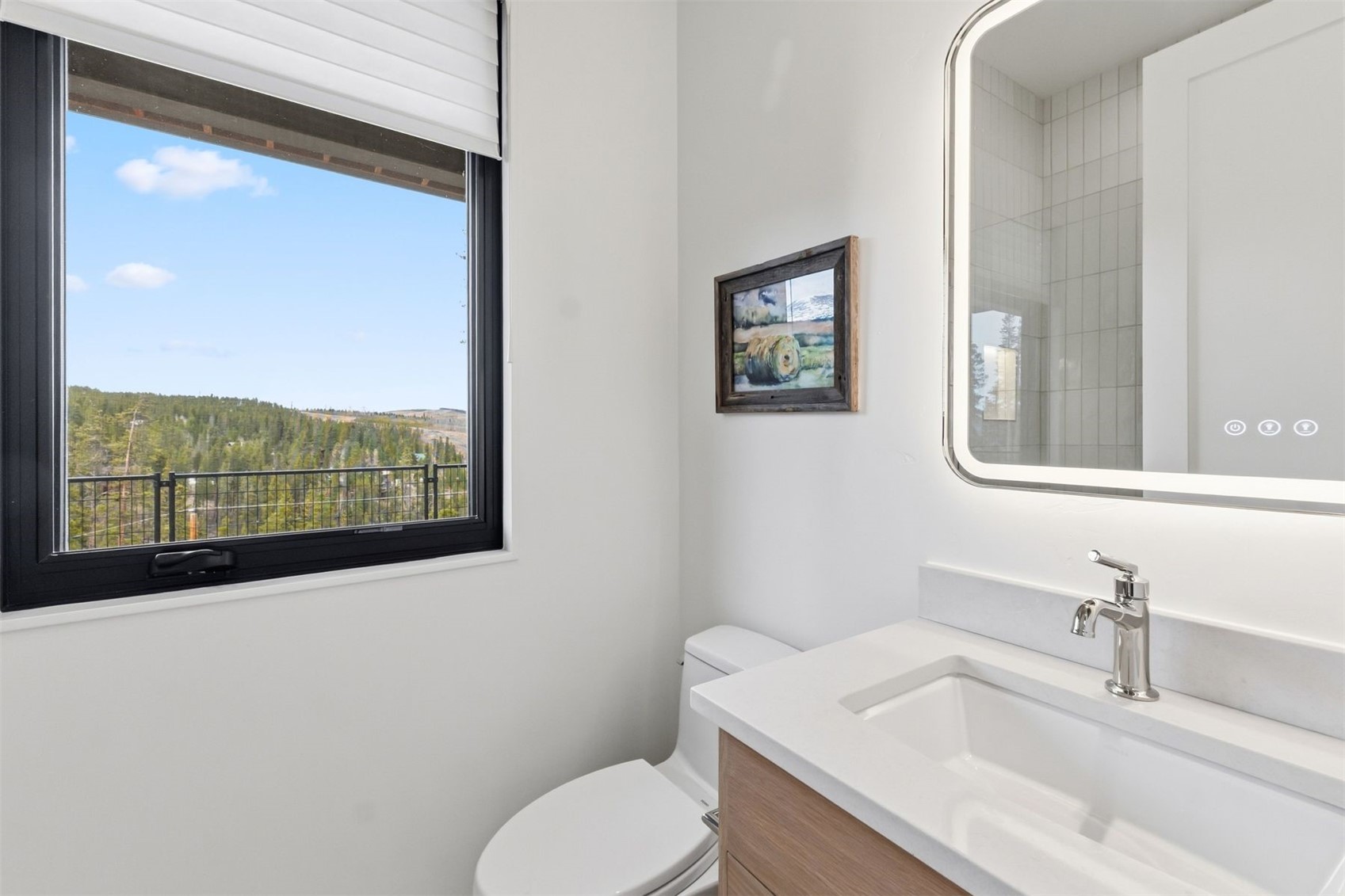 175 Protector Place Breckenridge CO 80424