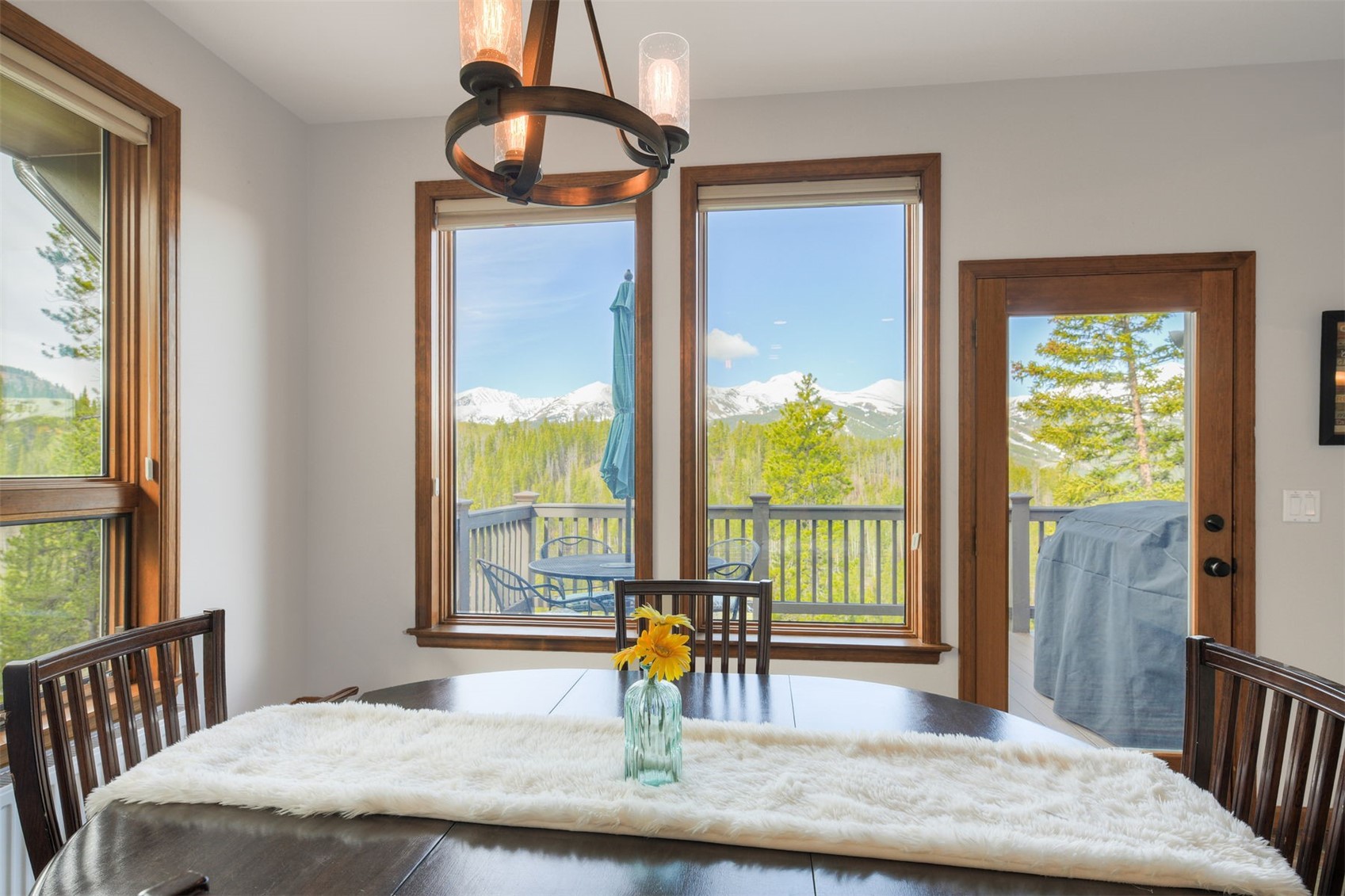 2542 Boreas Pass Road Breckenridge CO 80424
