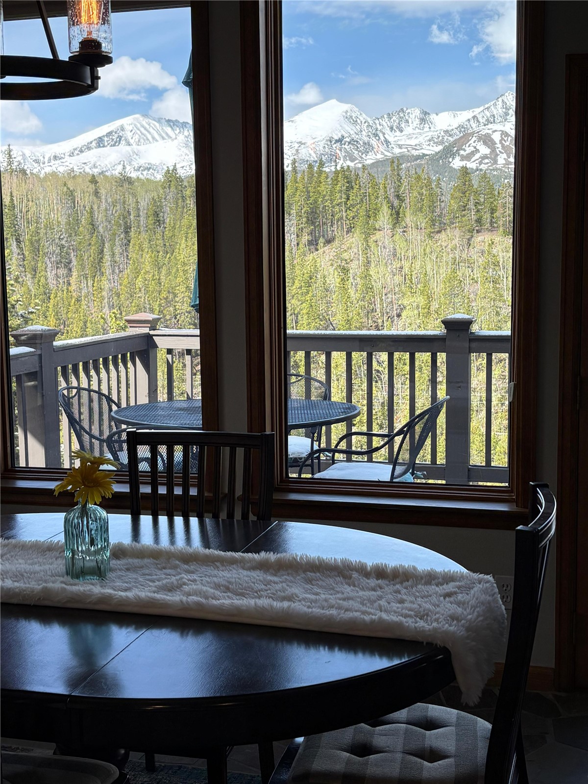2542 Boreas Pass Road Breckenridge CO 80424