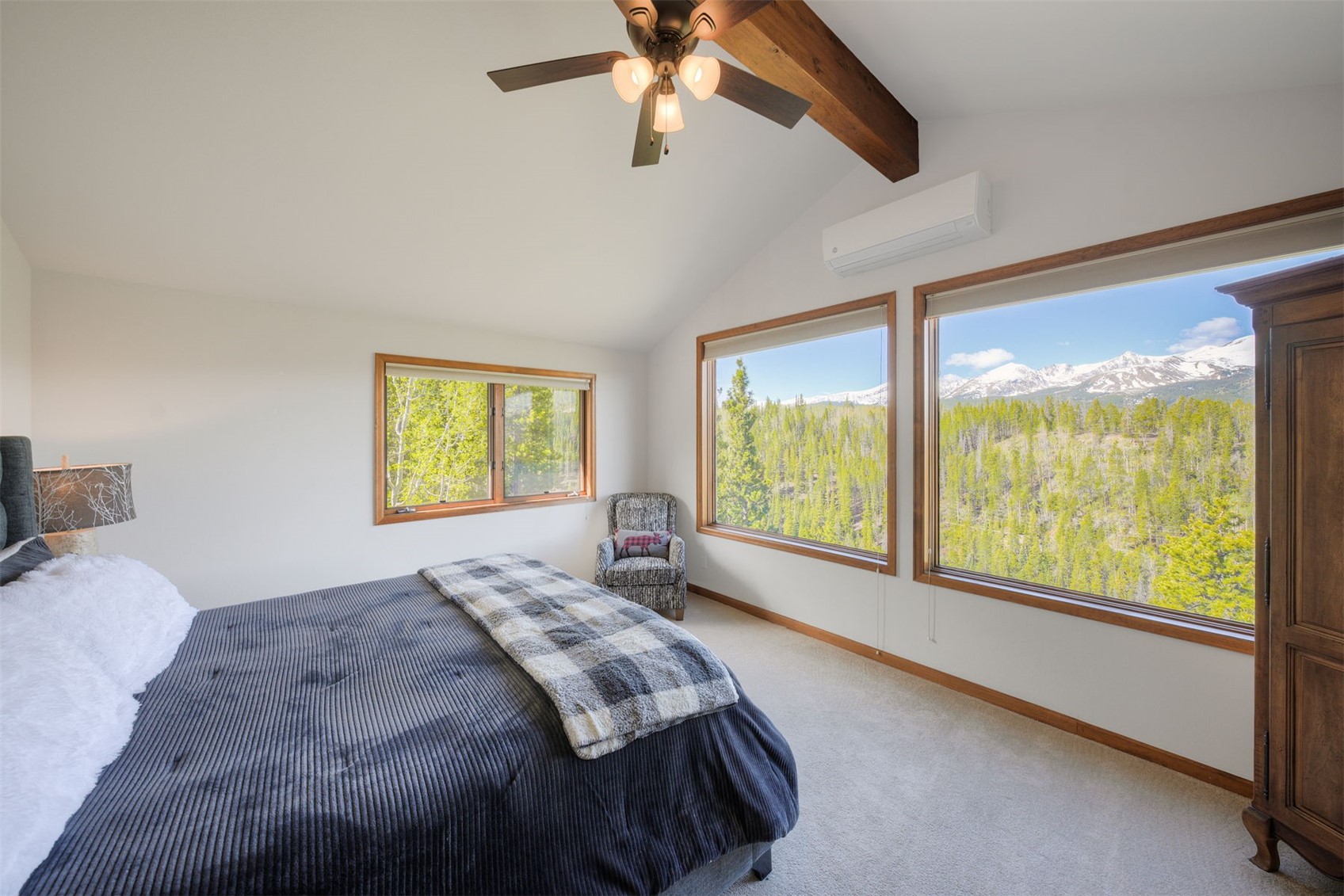 2542 Boreas Pass Road Breckenridge CO 80424