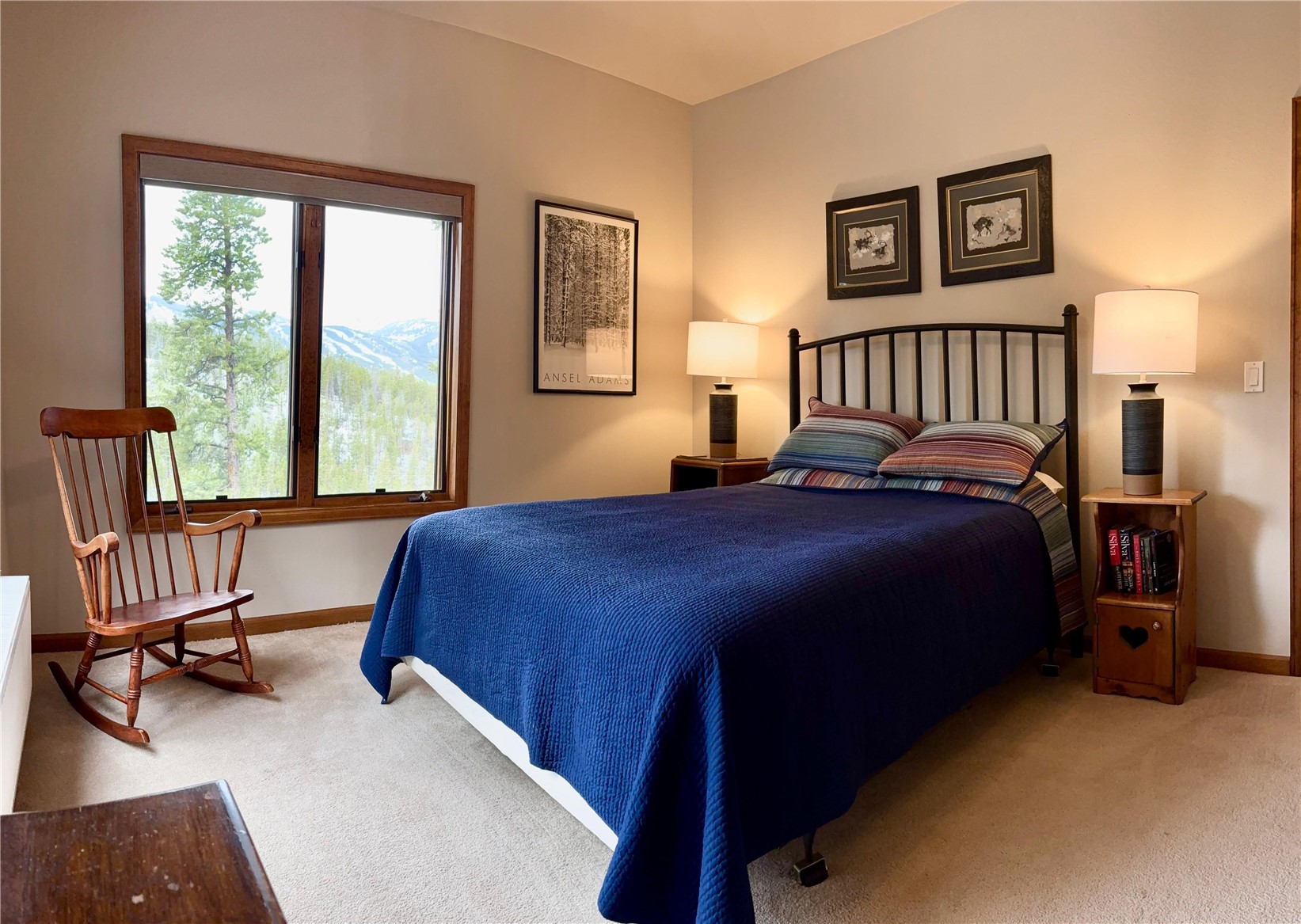 2542 Boreas Pass Road Breckenridge CO 80424