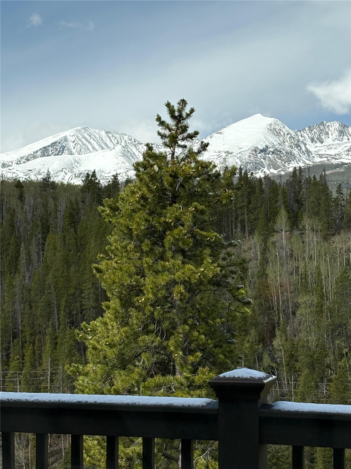 2542 Boreas Pass Road Breckenridge CO 80424