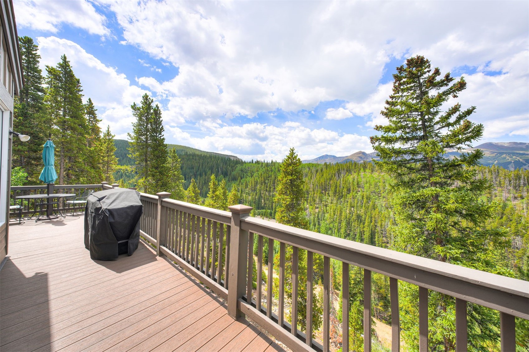 2542 Boreas Pass Road Breckenridge CO 80424