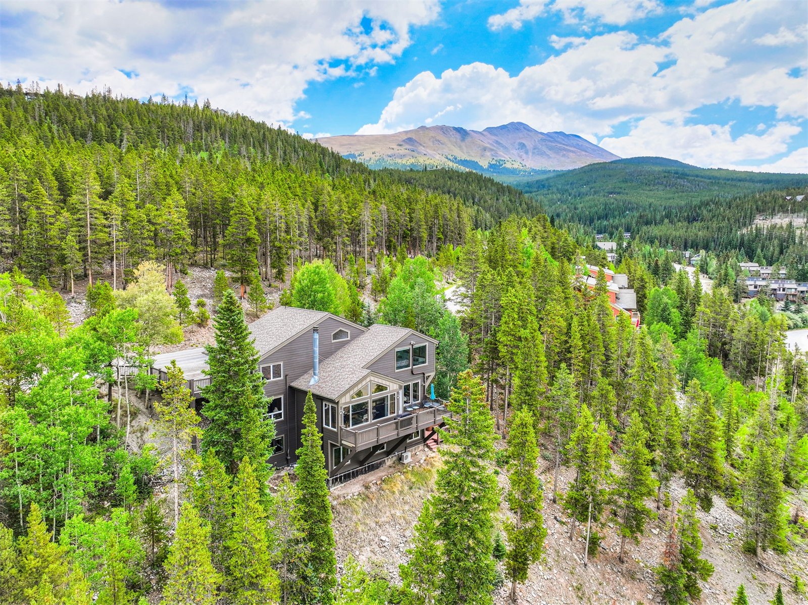2542 Boreas Pass Road Breckenridge CO 80424