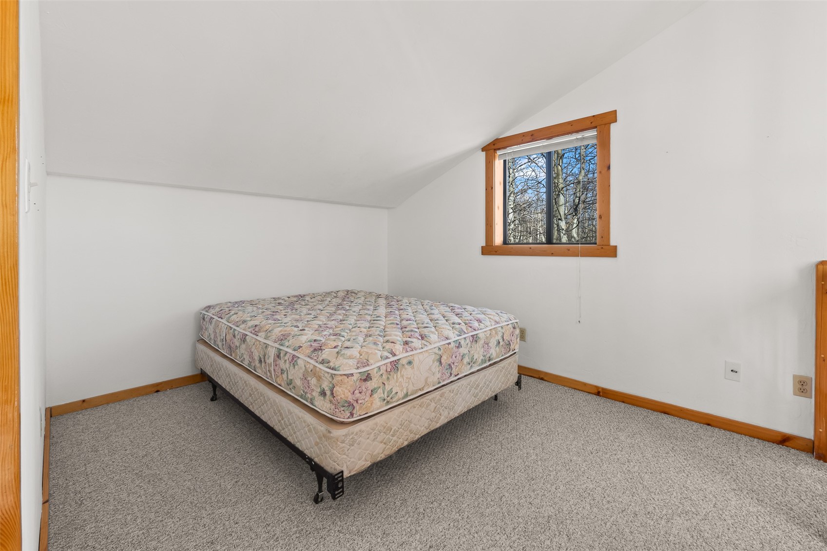 1793 Michigan Hill Road Jefferson CO 80456