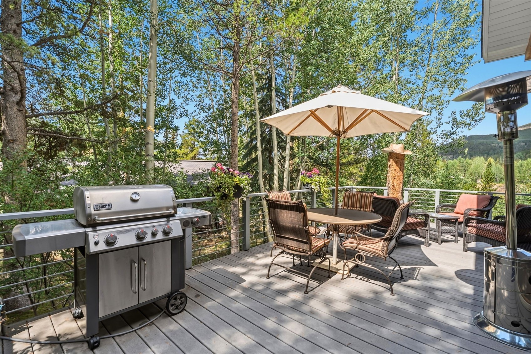 31 Wild Irishman Lane Keystone CO 80435