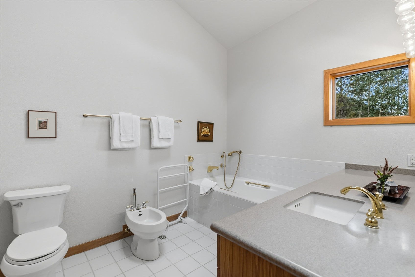 31 Wild Irishman Lane Keystone CO 80435