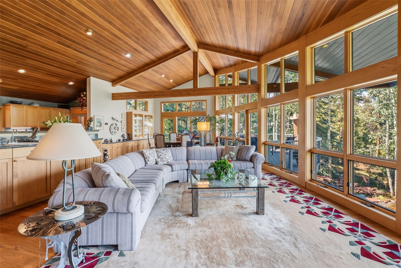 31 Wild Irishman Lane Keystone CO 80435