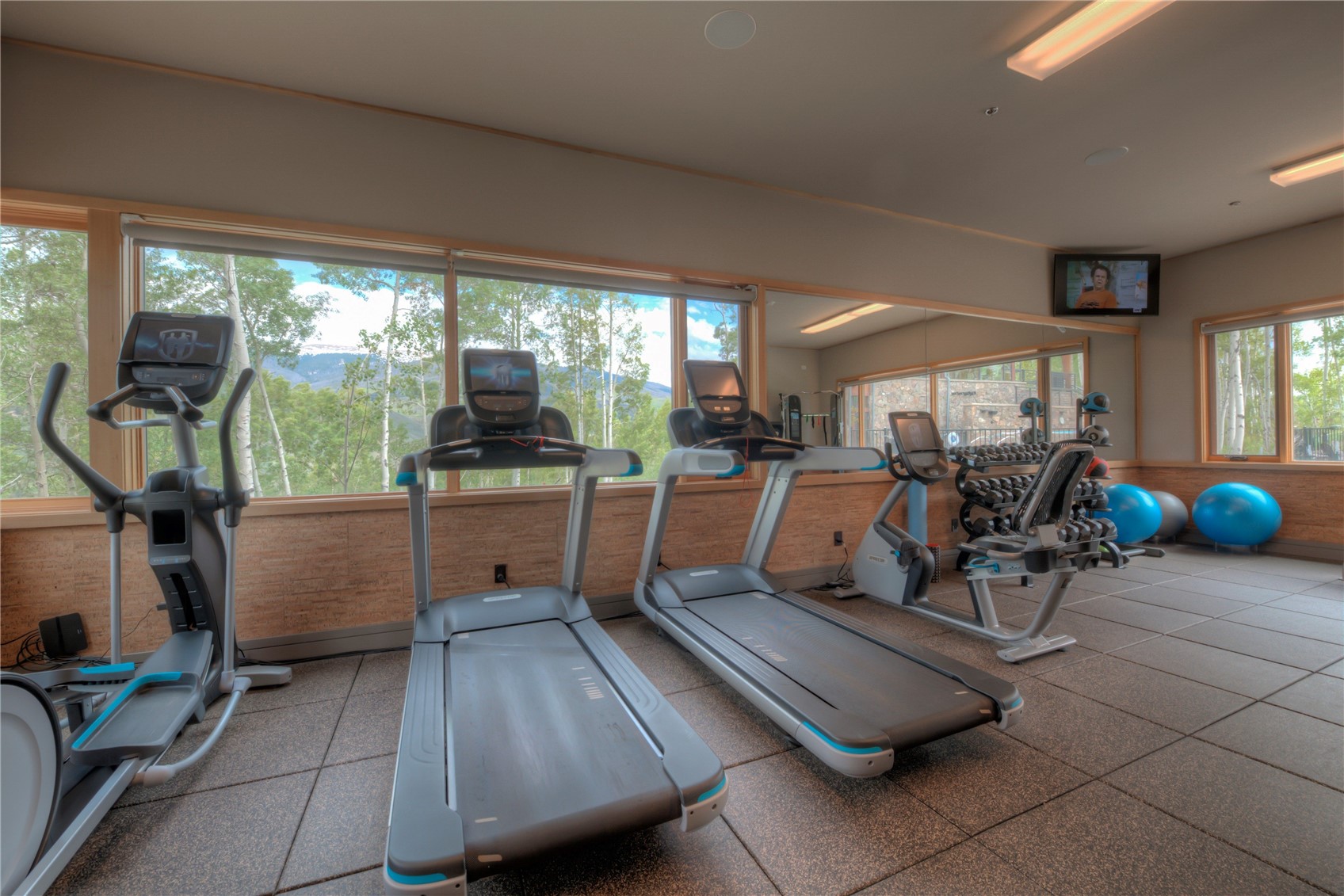 151 Moss Way Silverthorne CO 80498