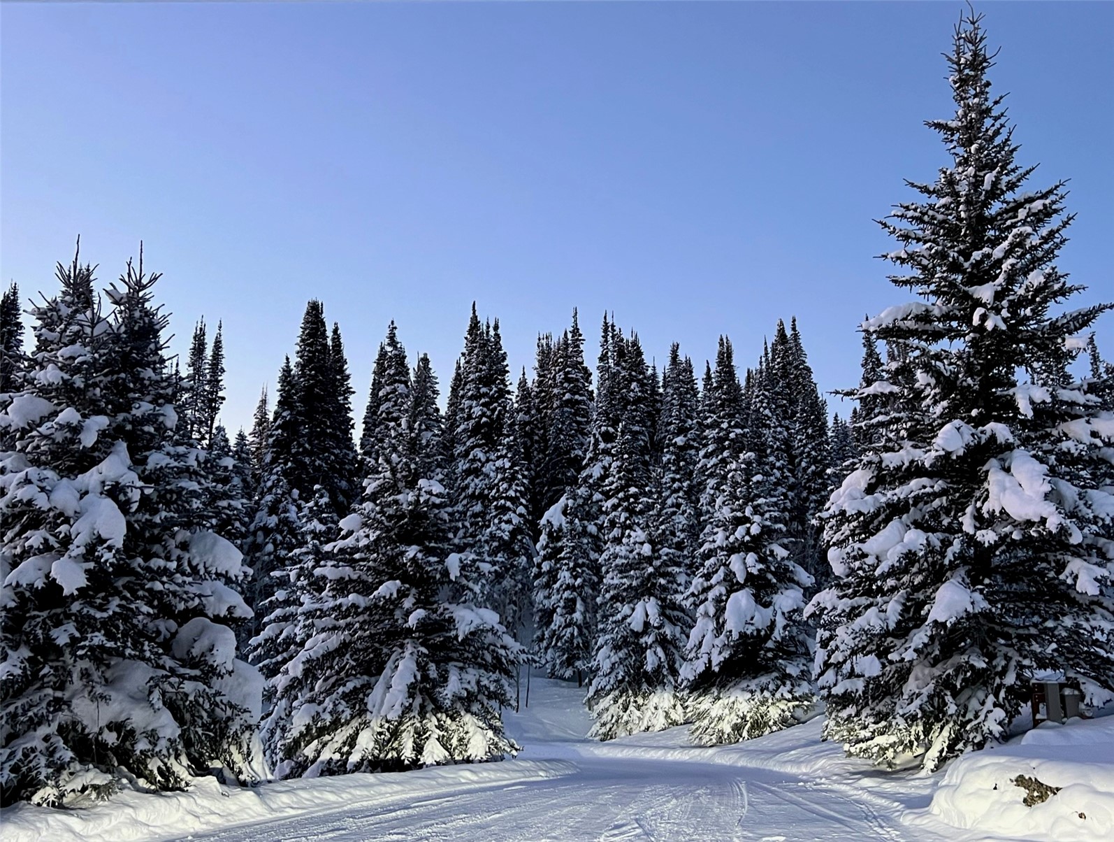 31655 Sugar Ridge Road Steamboat Springs CO 80487