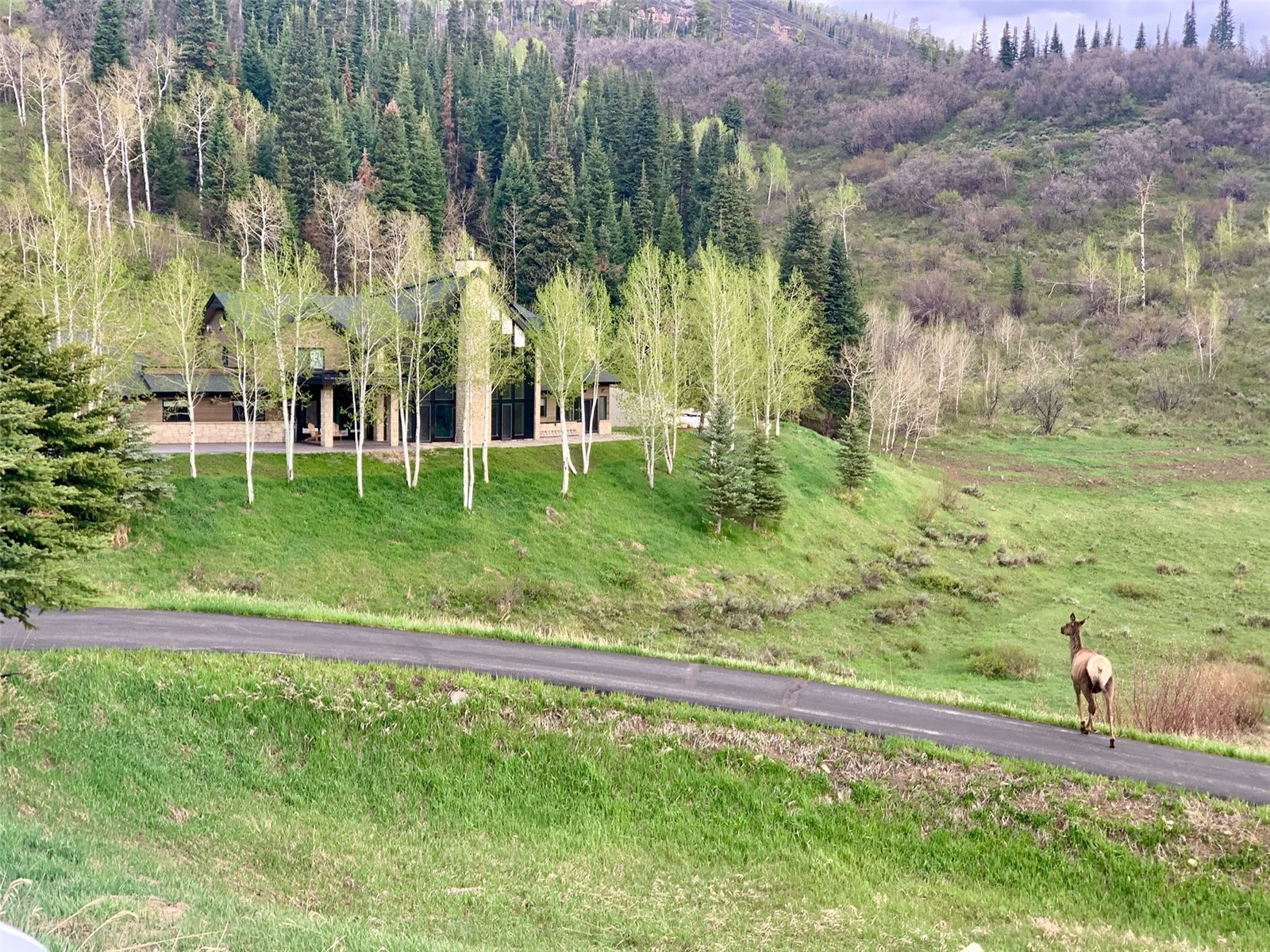31655 Sugar Ridge Road Steamboat Springs CO 80487