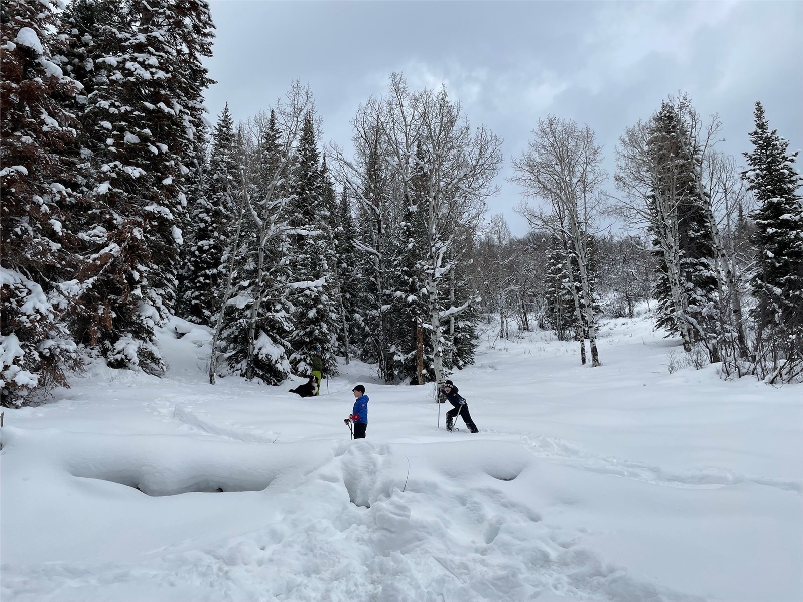 31655 Sugar Ridge Road Steamboat Springs CO 80487