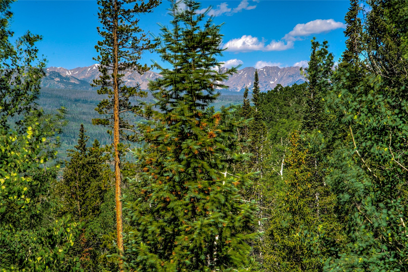 321 Lakeview Circle Silverthorne CO 80498
