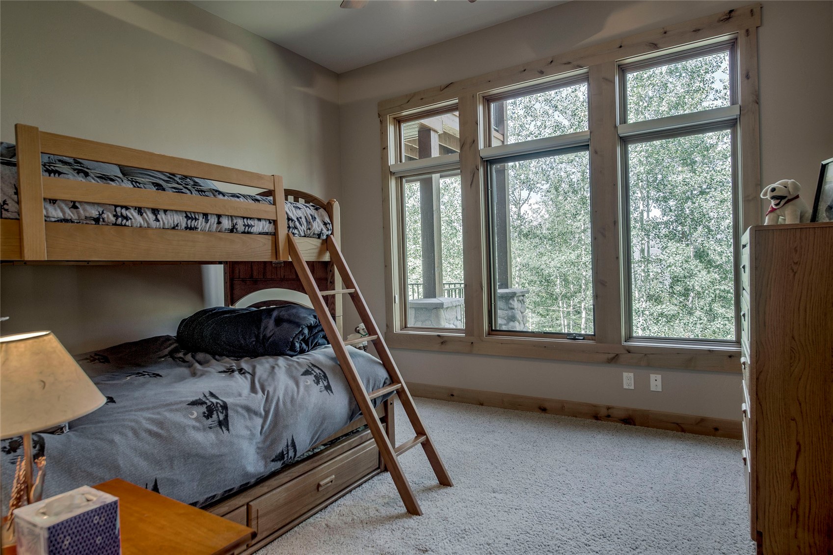 321 Lakeview Circle Silverthorne CO 80498