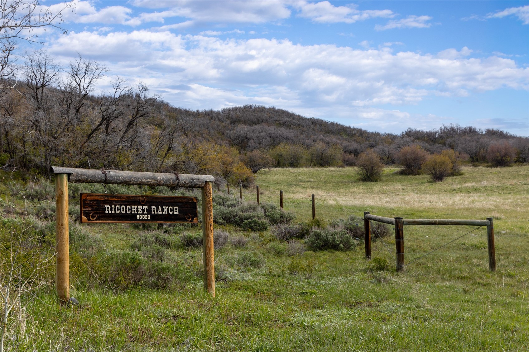 50320 Semotan Drive Steamboat Springs CO 80487