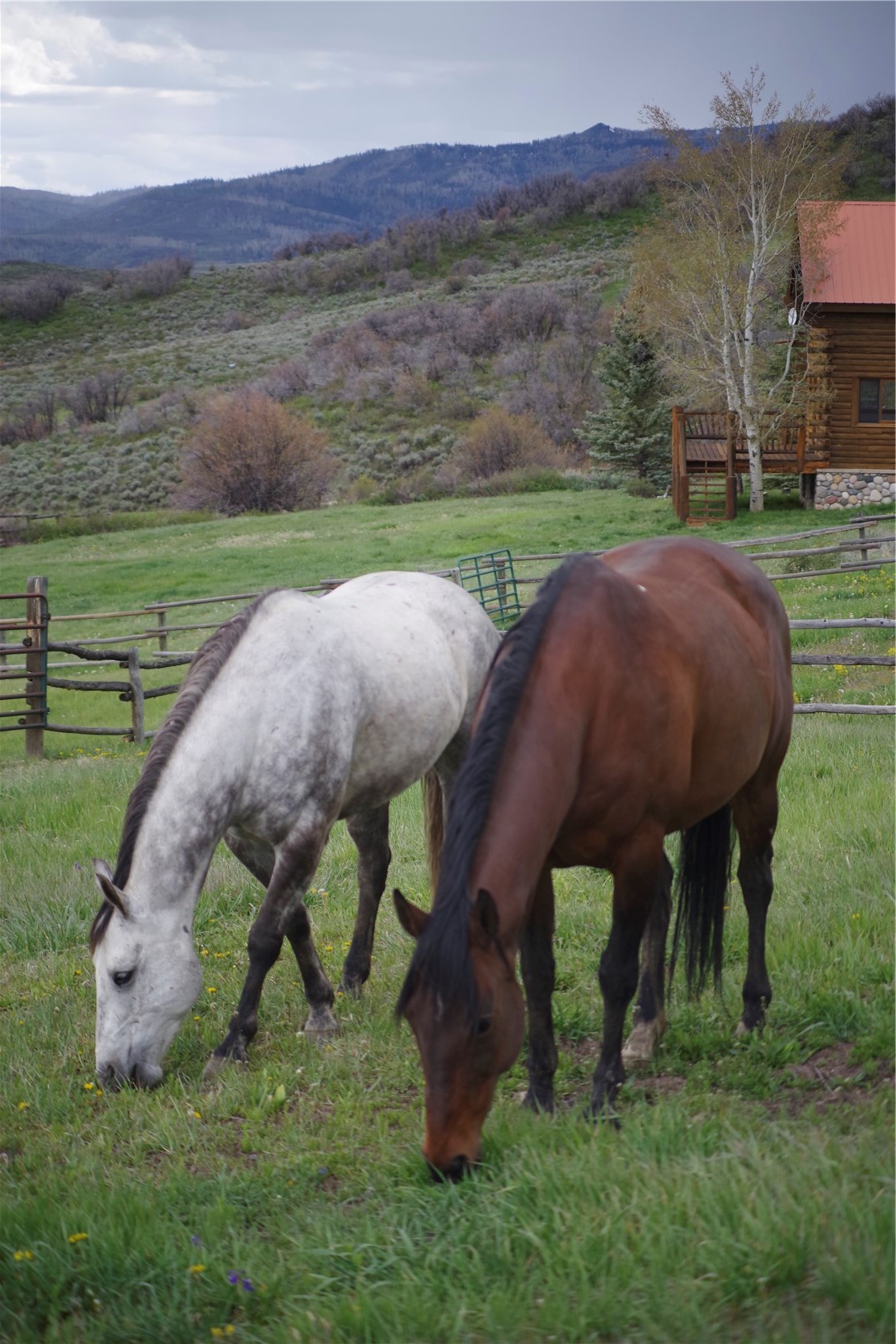 50320 Semotan Drive Steamboat Springs CO 80487