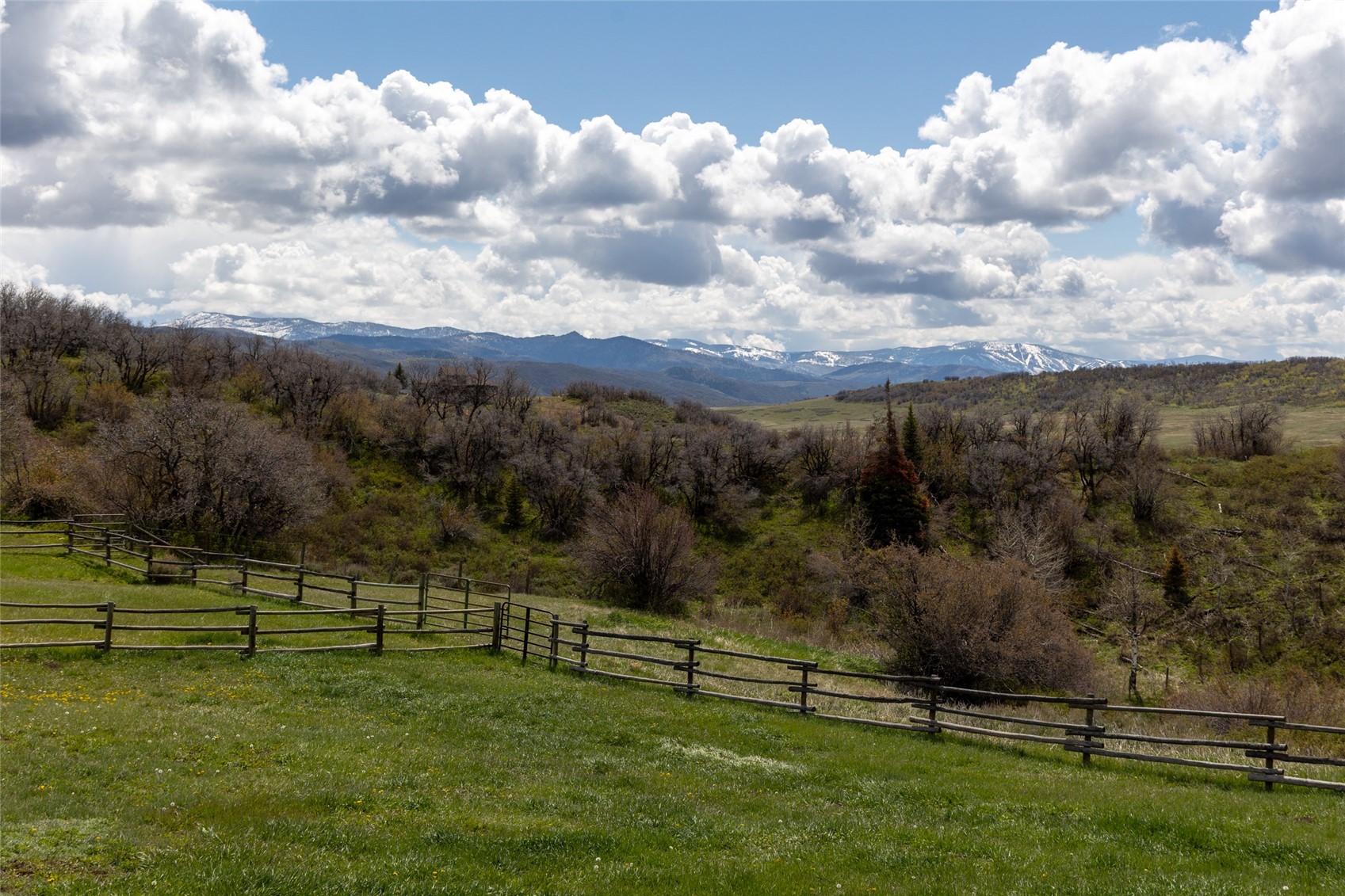 50320 Semotan Drive Steamboat Springs CO 80487