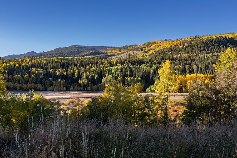 20850 Cheyenne Trail Oak Creek CO 80467