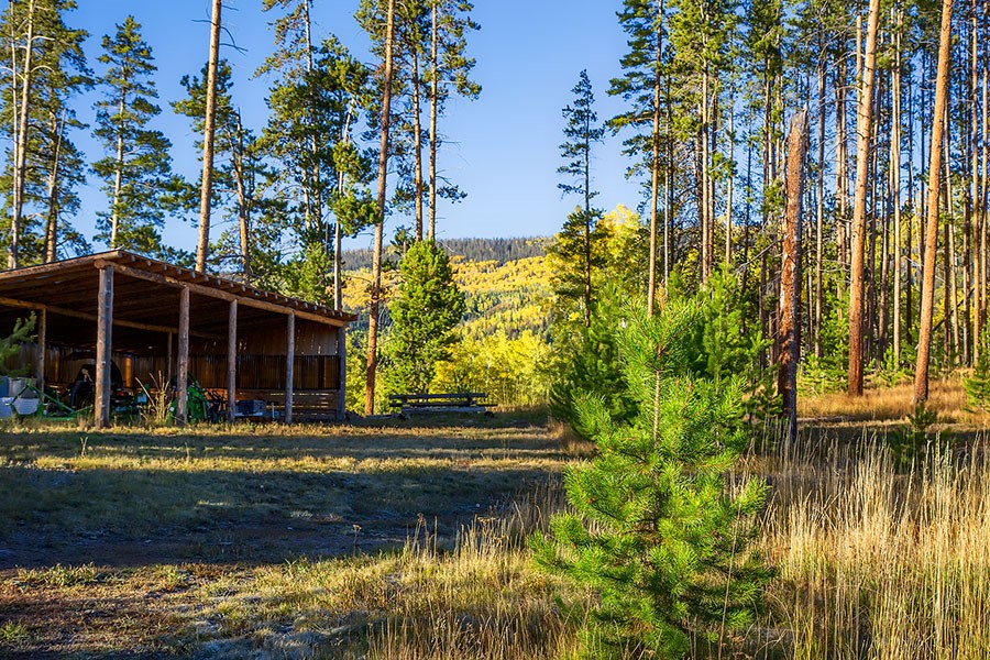 20850 Cheyenne Trail Oak Creek CO 80467