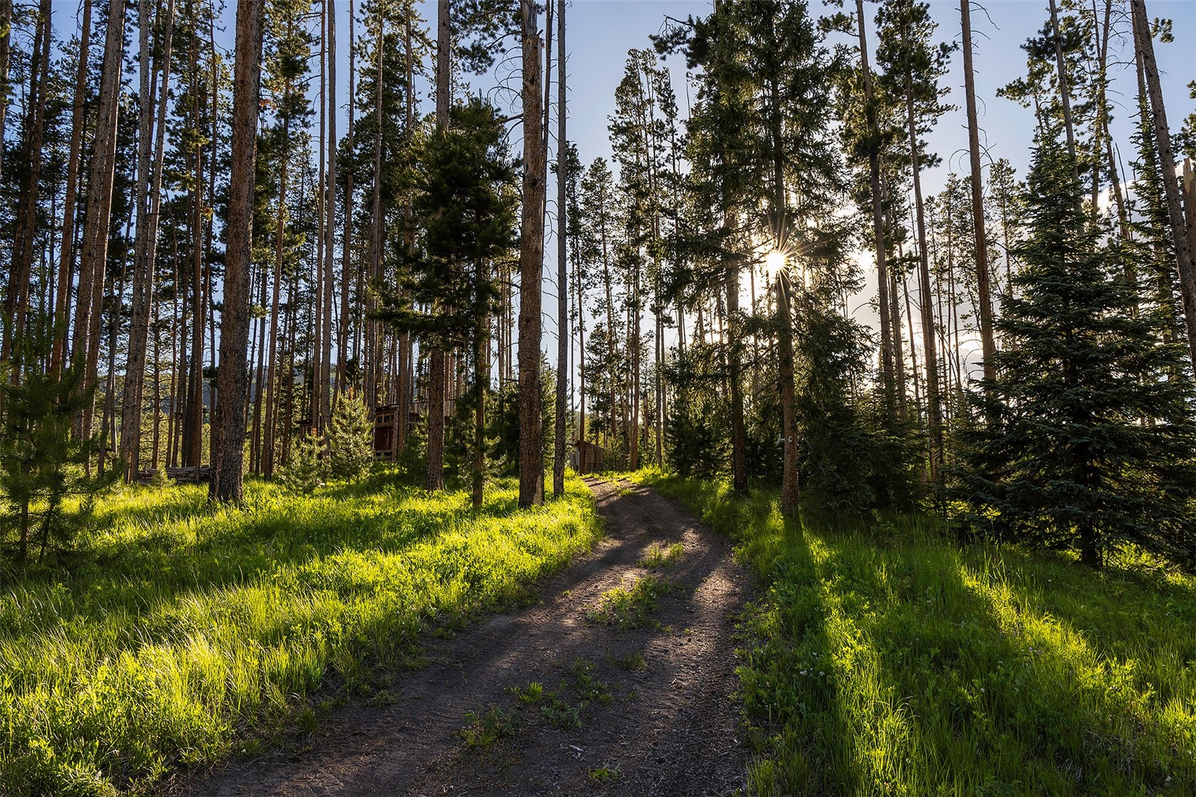 20850 Cheyenne Trail Oak Creek CO 80467