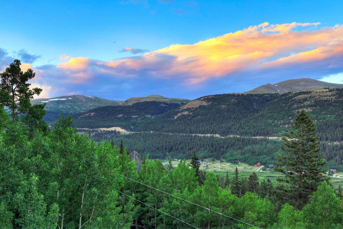 1095 Quartzville Road Alma CO 80440