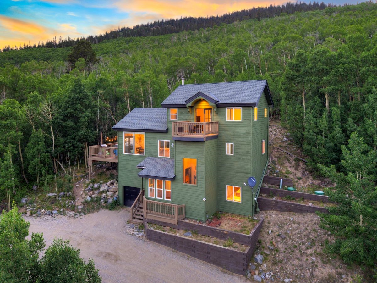 1095 Quartzville Road Alma CO 80440