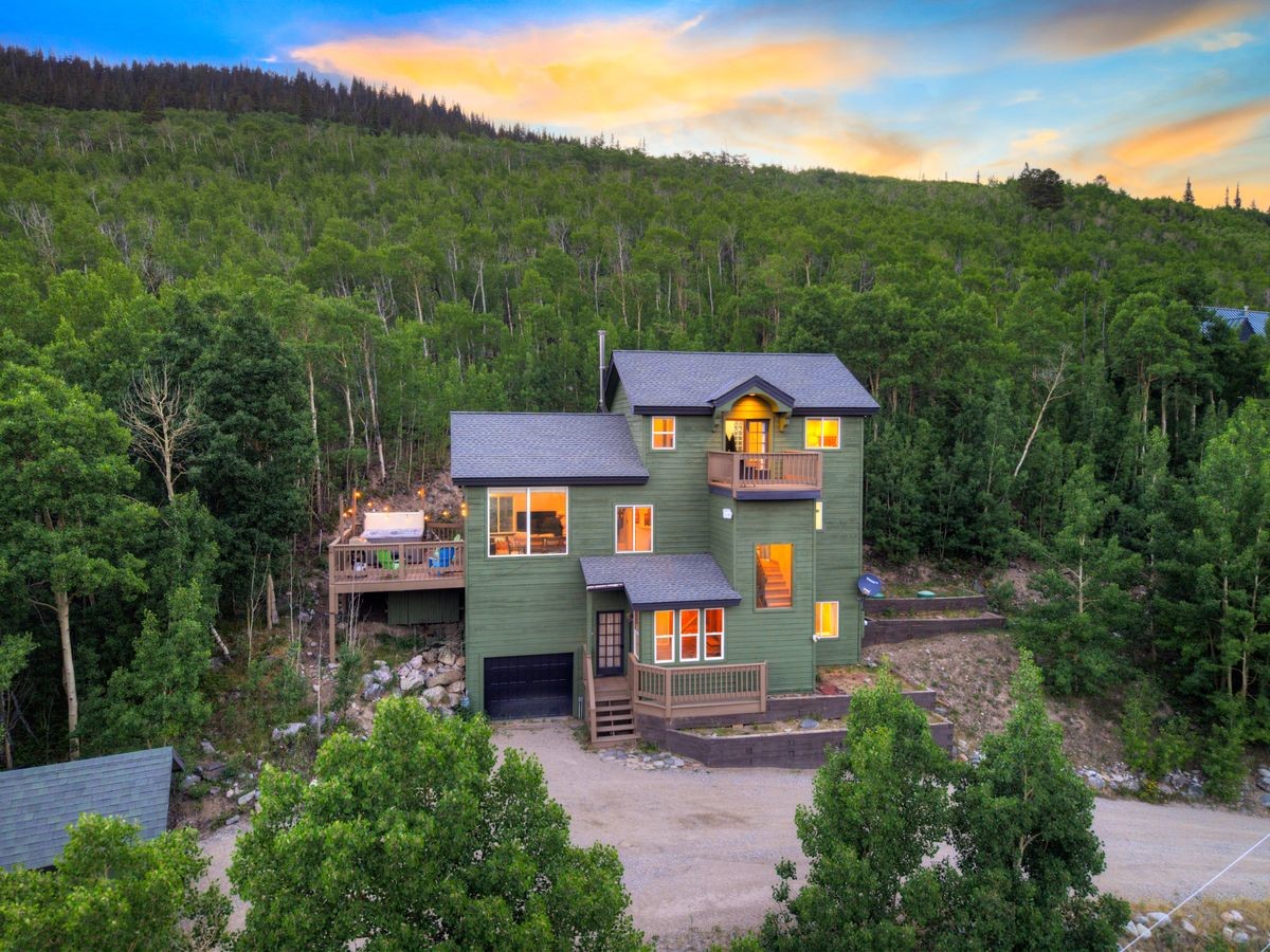 1095 Quartzville Road Alma CO 80440