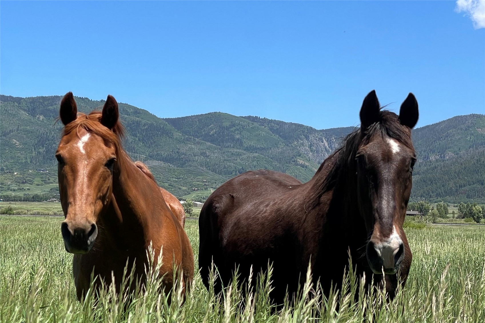 33250 County Road 14 Steamboat Springs CO 80487