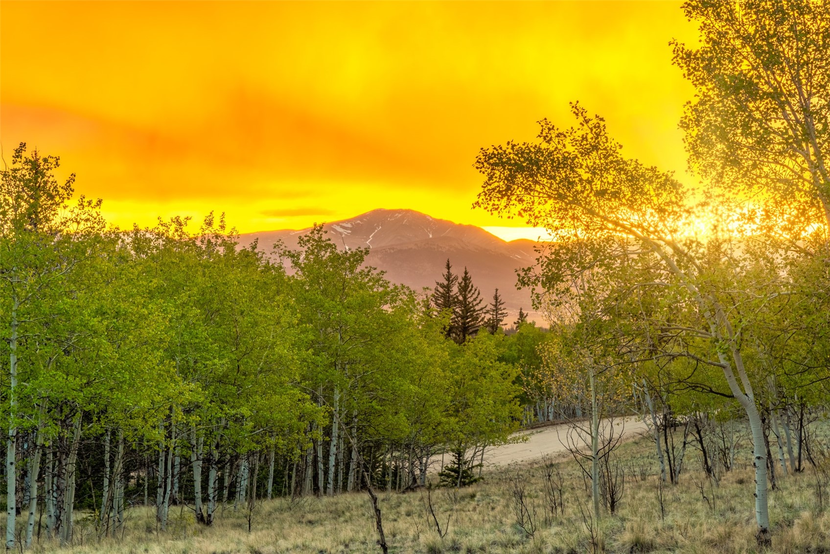847 Palomino Road Como CO 80432