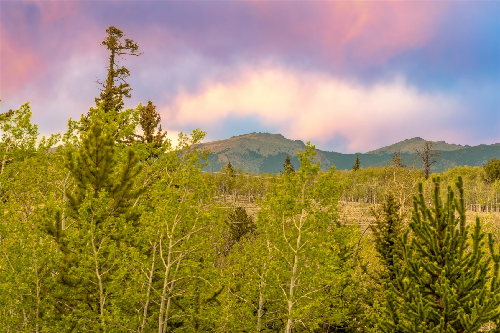 847 Palomino Road Como CO 80432
