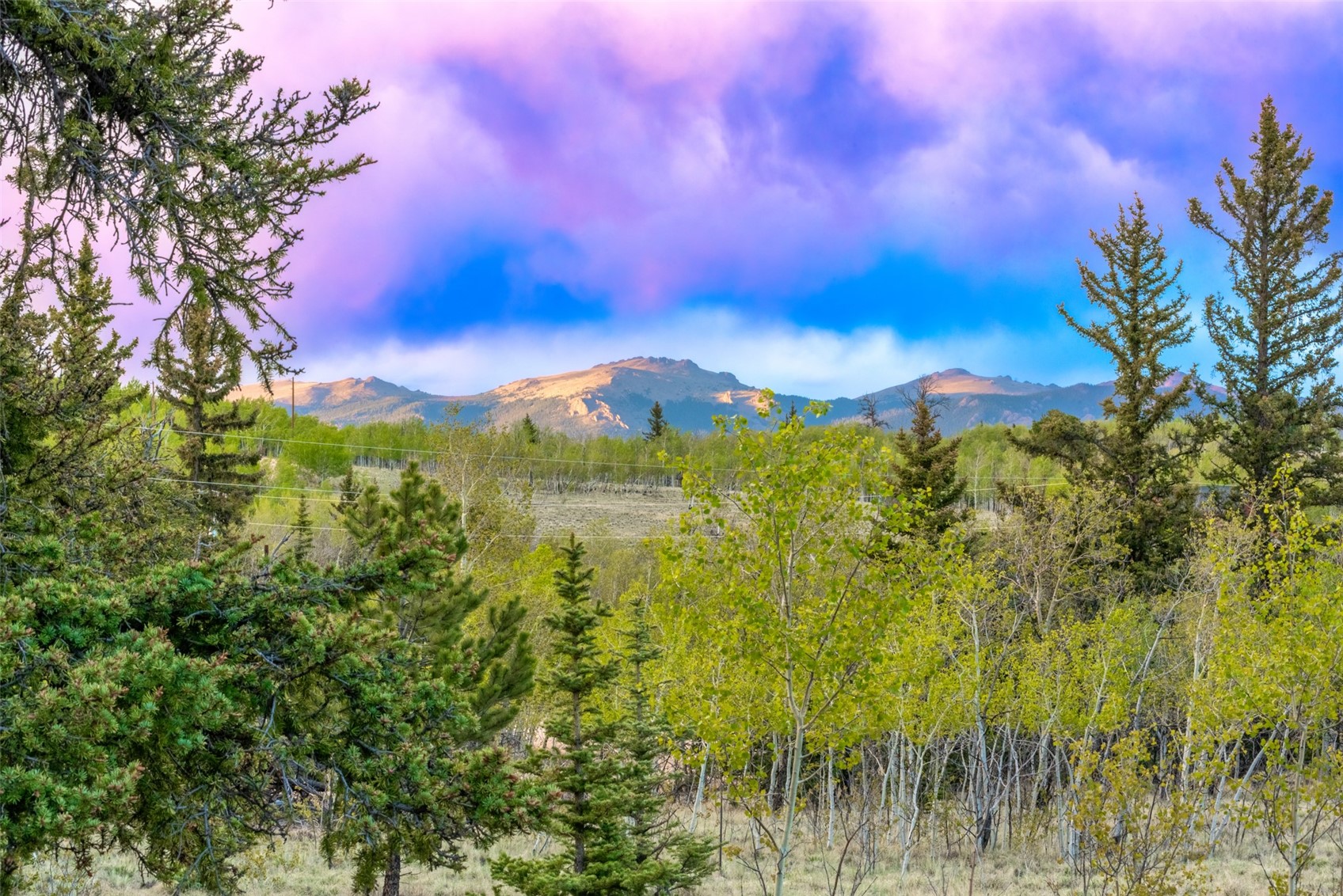 847 Palomino Road Como CO 80432
