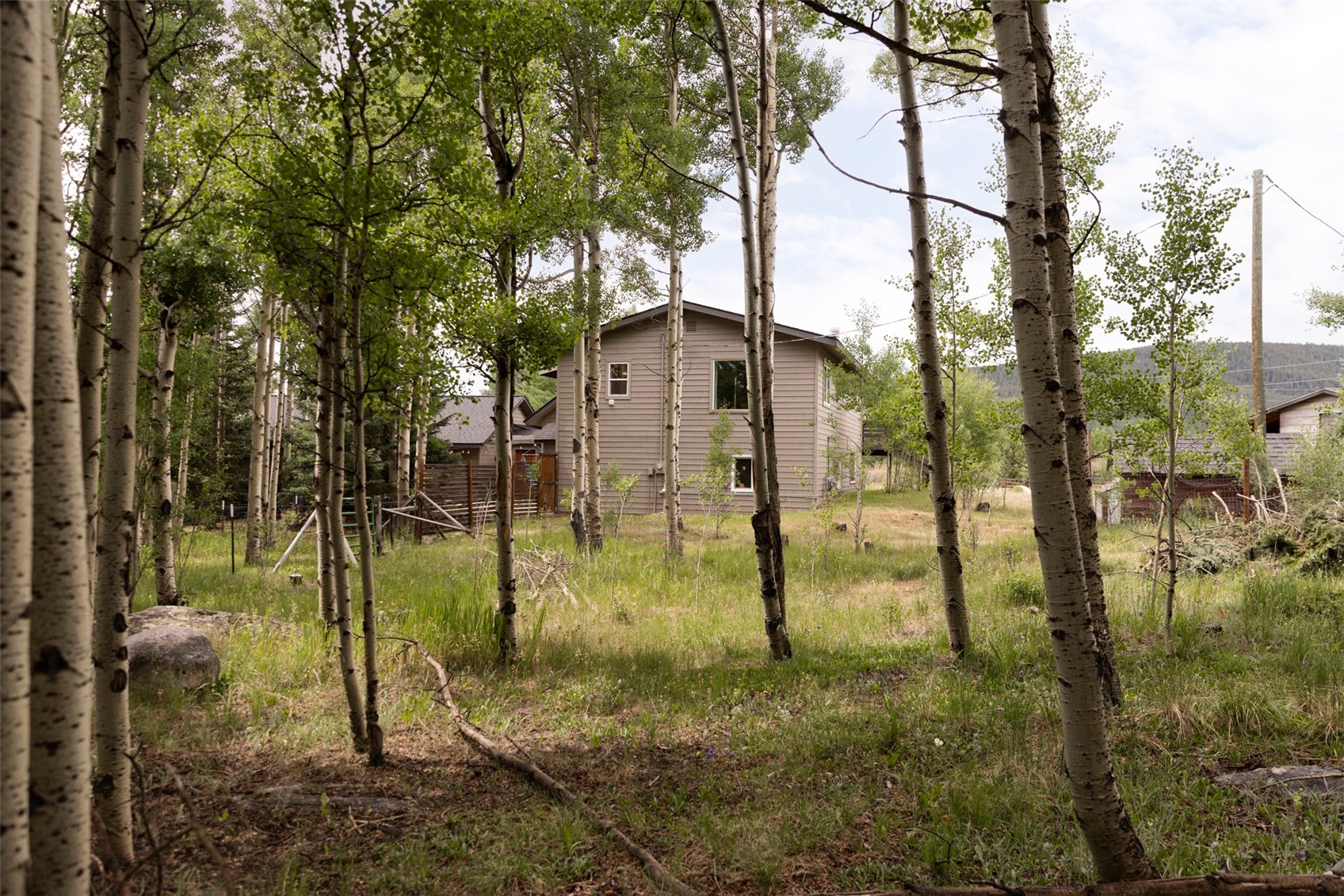 133 Gold Run Road Alma CO 80440