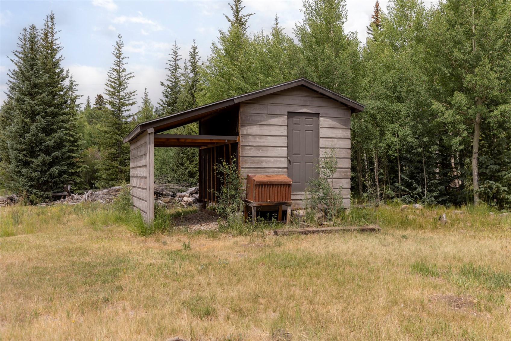 133 Gold Run Road Alma CO 80440