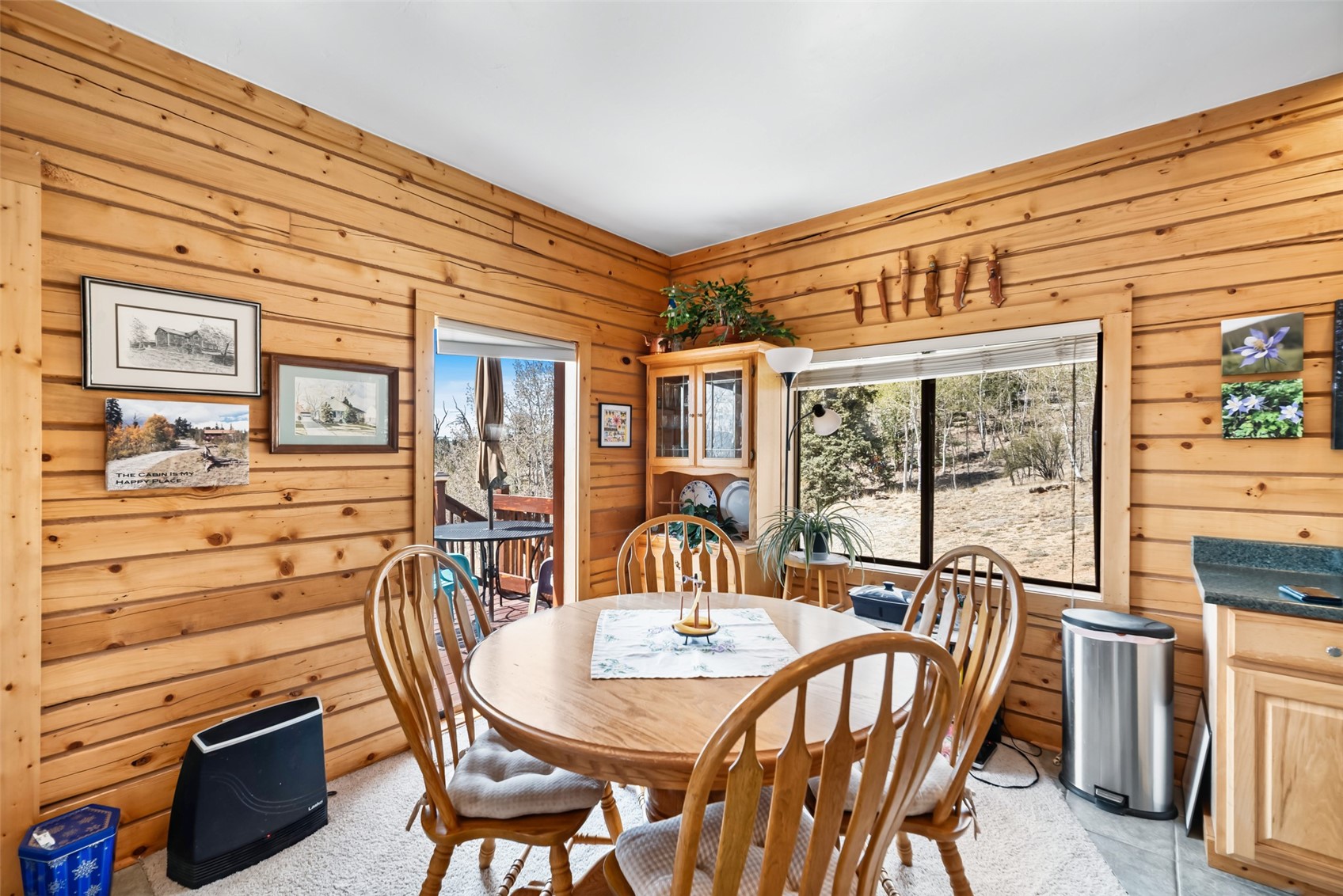 360 Musket Lane Como CO 80432