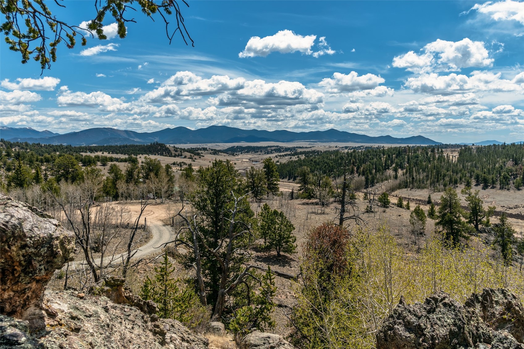 360 Musket Lane Como CO 80432