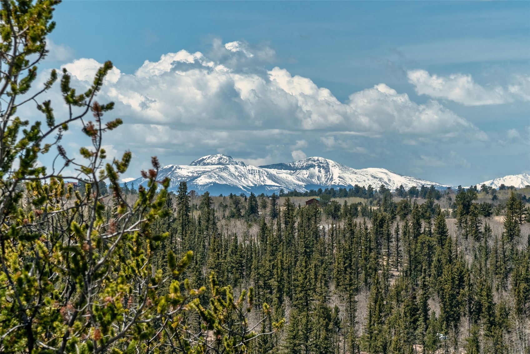 360 Musket Lane Como CO 80432